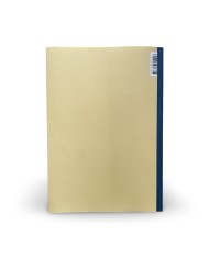 Buď také písařem - Studie věnovaná památce Břetislava Vachaly