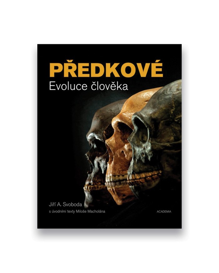Předkové - Evoluce člověka