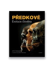 Předkové - Evoluce člověka