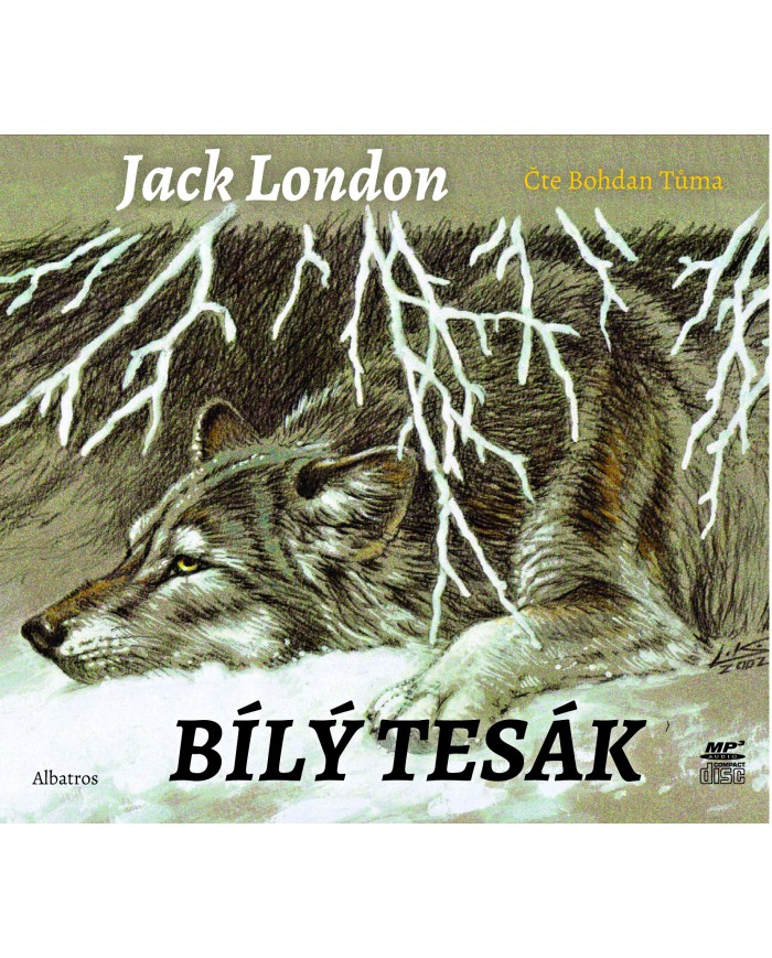 Bílý tesák