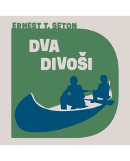 Dva divoši