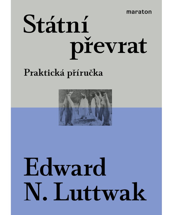 Státní převrat