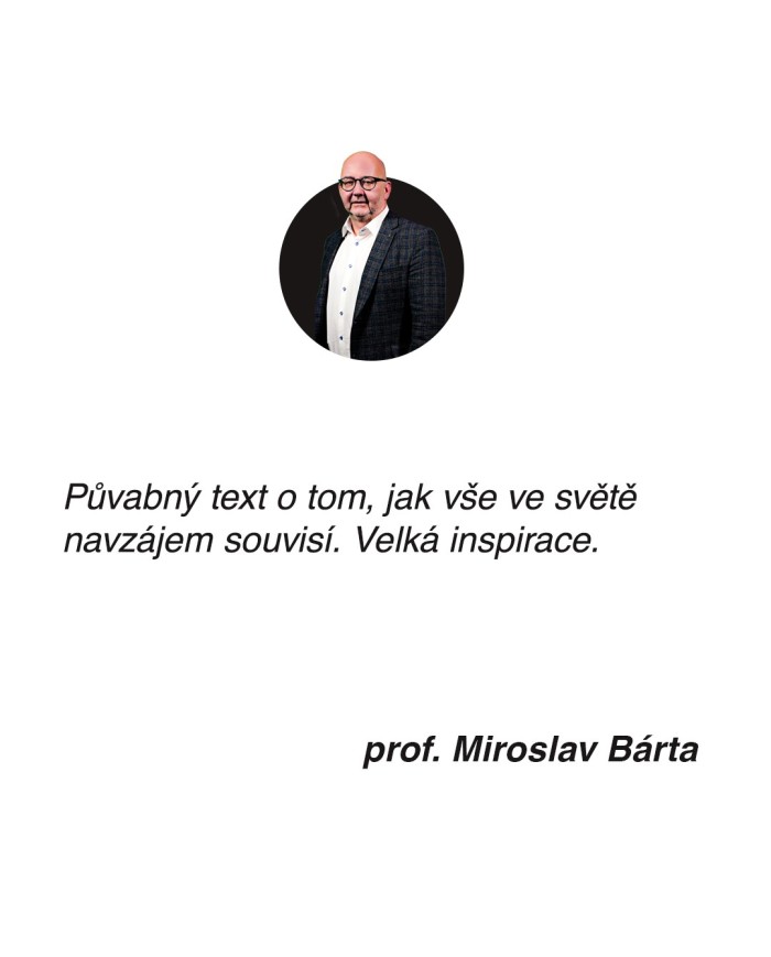 Environment, scarcity, and violence